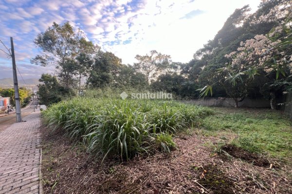 Terreno à venda com 450m², 1 vaga no bairro Campeche em Florianópolis