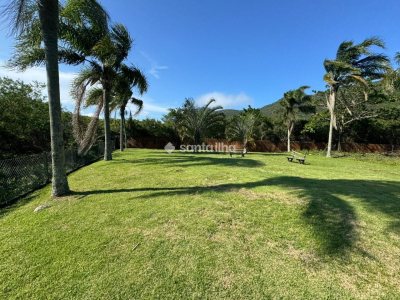 Terreno à venda com 453m² no bairro Pântano do Sul em Florianópolis - Foto 14