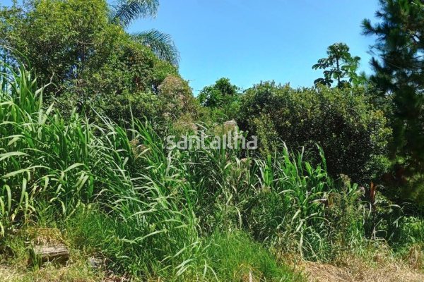 Terreno à venda com 444m², 1 vaga no bairro Ribeirão da Ilha em Florianópolis