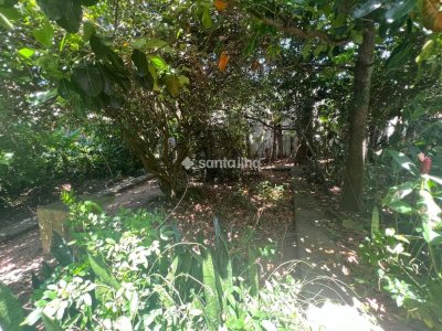 Casa à venda com 200m², 3 quartos, 3 suítes, 3 vagas no bairro Morro das Pedras em Florianópolis - Foto 10