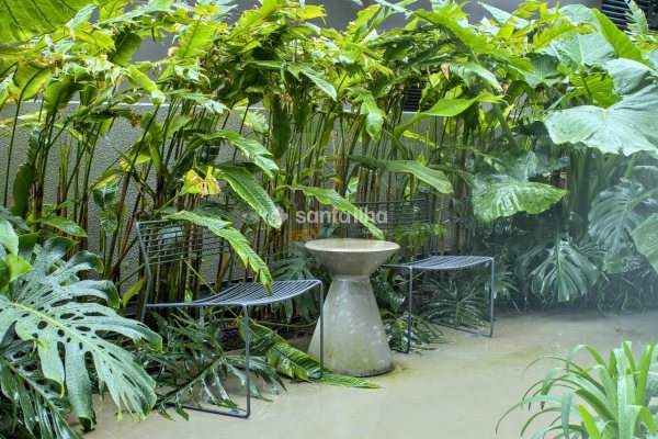 Sala/Conjunto à venda com 27m², 1 vaga no bairro Campeche em Florianópolis
