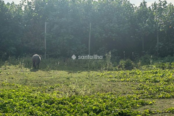Terreno à venda com 360m², 1 quarto, 4 vagas no bairro Carianos em Florianópolis