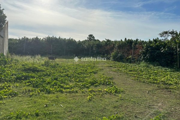 Terreno à venda com 360m², 1 quarto, 4 vagas no bairro Carianos em Florianópolis