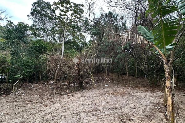 Terreno à venda com 546m² no bairro Açores em Florianópolis