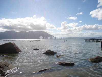 Terreno à venda com 1.350m² no bairro Ribeirão da Ilha em Florianópolis - Foto 5
