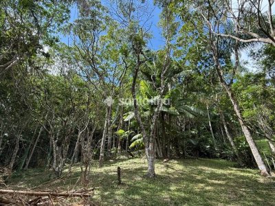 Casa para alugar com 158m², 1 quarto, 1 suíte, 4 vagas no bairro Pântano do Sul em Florianópolis - Foto 40