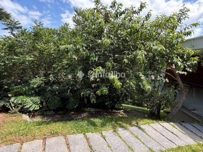 Casa para alugar com 158m², 1 quarto, 1 suíte, 4 vagas no bairro Pântano do Sul em Florianópolis - Foto 25