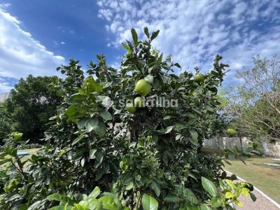 Terreno à venda com 385m², 1 vaga no bairro Campeche em Florianópolis - Foto 2
