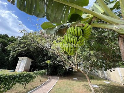 Terreno à venda com 385m², 1 vaga no bairro Campeche em Florianópolis - Foto 15