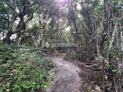 Terreno à venda com 385m², 1 vaga no bairro Campeche em Florianópolis - Foto 16