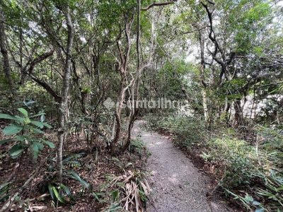 Terreno à venda com 385m², 1 vaga no bairro Campeche em Florianópolis - Foto 18