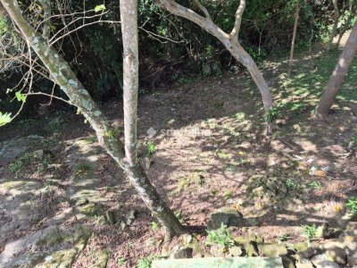 Casa à venda com 100m², 2 quartos, 1 suíte, 2 vagas no bairro Ribeirão da Ilha em Florianópolis - Foto 7