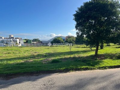 Terreno à venda com 800m², 1 vaga no bairro Rio Tavares em Florianópolis - Foto 6
