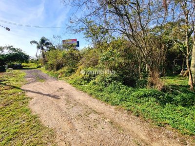 Terreno à venda com 360m², 1 vaga no bairro Carianos em Florianópolis - Foto 5