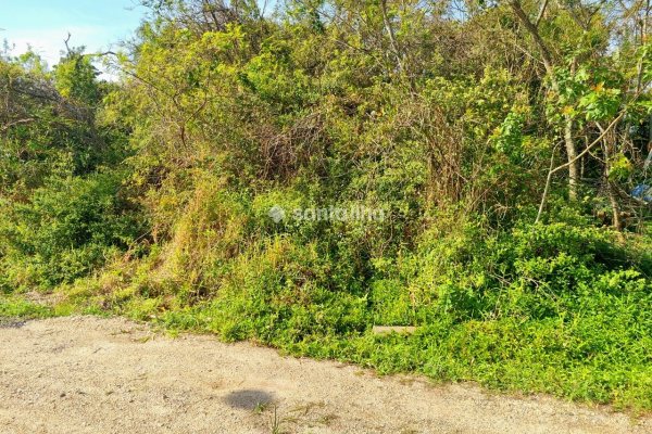 Terreno à venda com 360m², 1 vaga no bairro Carianos em Florianópolis