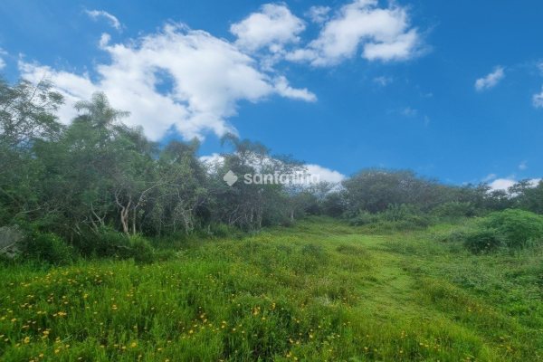 Terreno à venda com 360m², 1 quarto, 4 vagas no bairro Carianos em Florianópolis