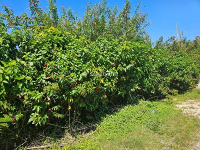 Terreno à venda com 485m² no bairro Campeche em Florianópolis - Foto 11