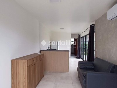Casa à venda com 564m², 6 quartos, 1 suíte, 5 vagas no bairro Campeche em Florianópolis - Foto 6