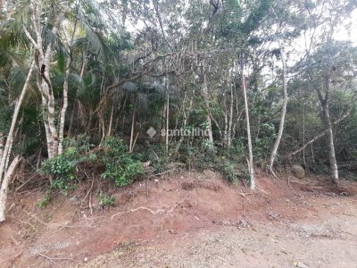 Terreno à venda com 702m² no bairro Pântano do Sul em Florianópolis - Foto 5