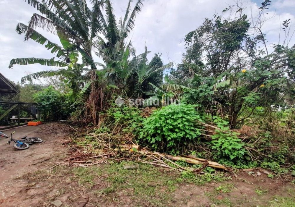 Terreno à venda com 3.162m² no bairro Morro das Pedras em Florianópolis - Foto 1