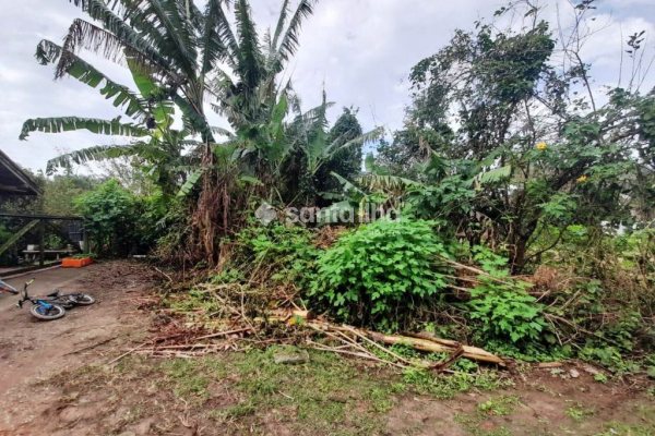 Terreno à venda com 3.162m² no bairro Morro das Pedras em Florianópolis