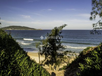 Casa à venda com 140m², 4 quartos, 1 suíte, 4 vagas no bairro Campeche em Florianópolis - Foto 15
