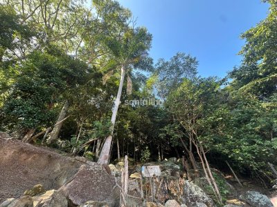 Casa para alugar ou comprar com 247m², 4 quartos, 3 vagas no bairro Rio Tavares em Florianópolis - Foto 56