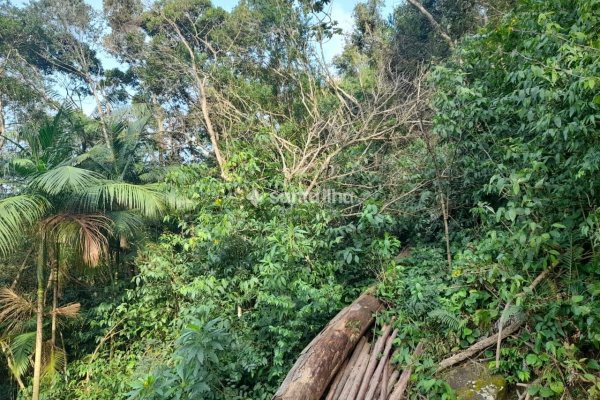 Terreno à venda com 702m² no bairro Pântano do Sul em Florianópolis