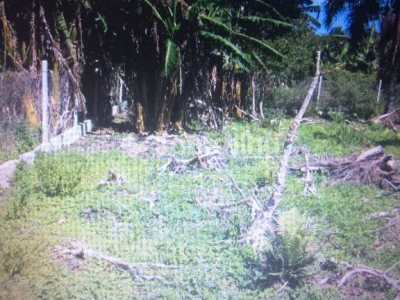 Terreno à venda com 3.162m² no bairro Morro das Pedras em Florianópolis - Foto 6