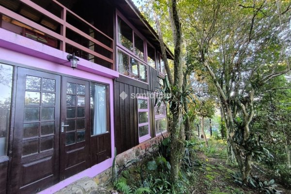Casa à venda com 50m², 1 quarto, 2 vagas no bairro Pântano do Sul em Florianópolis