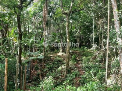 Terreno à venda com 1.876m², 1 quarto, 4 vagas no bairro Pântano do Sul em Florianópolis - Foto 2