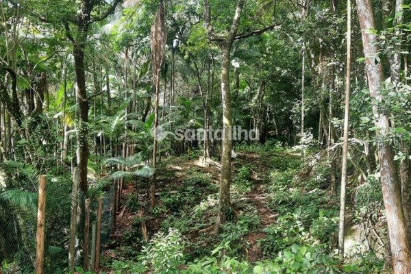 Terreno à venda com 1.876m², 1 quarto, 4 vagas no bairro Pântano do Sul em Florianópolis