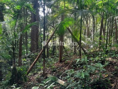 Terreno à venda com 1.876m², 1 quarto, 4 vagas no bairro Pântano do Sul em Florianópolis - Foto 3