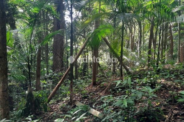 Terreno à venda com 1.876m², 1 quarto, 4 vagas no bairro Pântano do Sul em Florianópolis