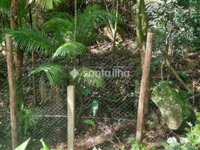 Terreno à venda com 1.876m², 1 quarto, 4 vagas no bairro Pântano do Sul em Florianópolis - Foto 4