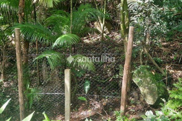 Terreno à venda com 1.876m², 1 quarto, 4 vagas no bairro Pântano do Sul em Florianópolis