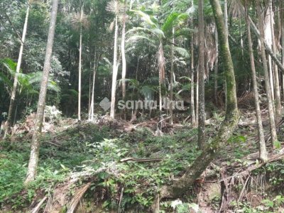 Terreno à venda com 1.876m², 1 quarto, 4 vagas no bairro Pântano do Sul em Florianópolis - Foto 5