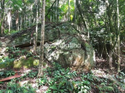 Terreno à venda com 1.876m², 1 quarto, 4 vagas no bairro Pântano do Sul em Florianópolis - Foto 8