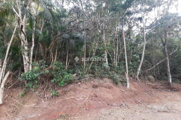 Terreno à venda com 720m² no bairro Pântano do Sul em Florianópolis