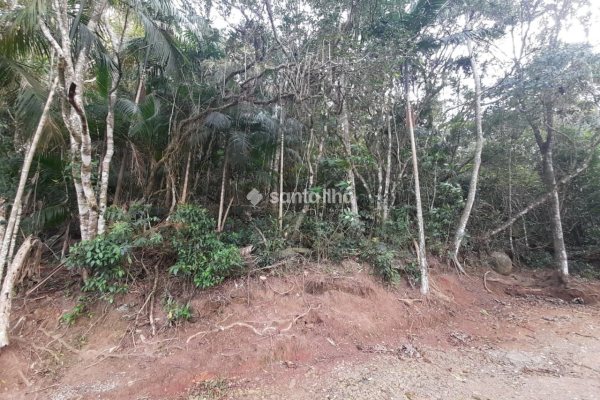 Terreno à venda com 720m² no bairro Pântano do Sul em Florianópolis
