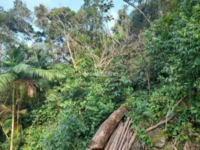 Terreno à venda com 720m² no bairro Pântano do Sul em Florianópolis - Foto 9