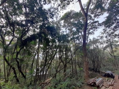 Terreno à venda com 720m² no bairro Pântano do Sul em Florianópolis - Foto 10