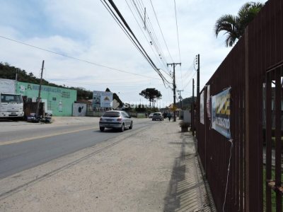 Terreno à venda com 3.200m² no bairro Rio Tavares em Florianópolis - Foto 5