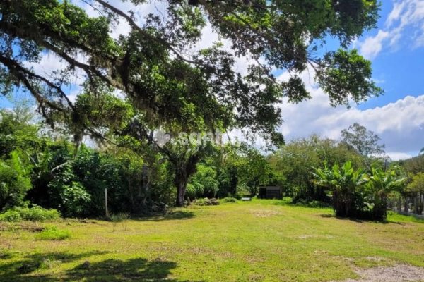 Terreno à venda com 7.420m², 2 vagas no bairro Campeche em Florianópolis
