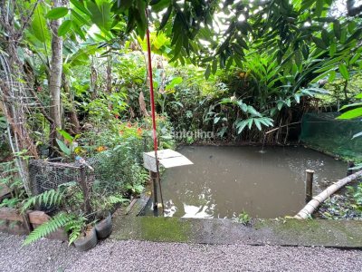 Terreno à venda com 4.215m² no bairro Ribeirão da Ilha em Florianópolis - Foto 7