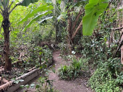 Terreno à venda com 4.215m² no bairro Ribeirão da Ilha em Florianópolis - Foto 12