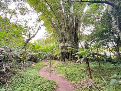 Terreno à venda com 4.215m² no bairro Ribeirão da Ilha em Florianópolis - Foto 13