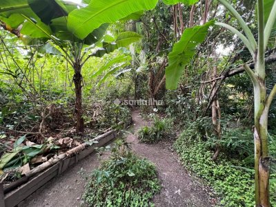 Terreno à venda com 4.215m² no bairro Ribeirão da Ilha em Florianópolis - Foto 14