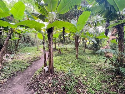 Terreno à venda com 4.215m² no bairro Ribeirão da Ilha em Florianópolis - Foto 15