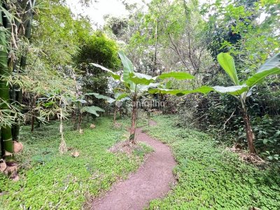 Terreno à venda com 4.215m² no bairro Ribeirão da Ilha em Florianópolis - Foto 16